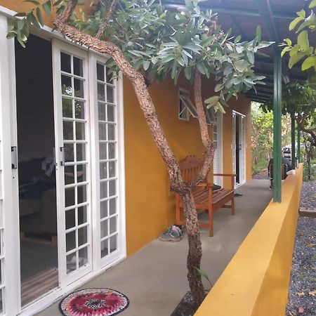Jardim Da Lila - Um Recanto De Paz Em Alto Paraiso Alto Paraíso de Goiás エクステリア 写真